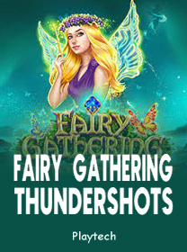 Fairy-Gathering-Thundershots game thumbnail